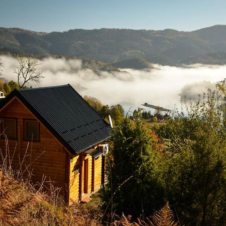 Villa Vila Bella, Tara, Zaovinsko Jezero à Zaovine Extérieur photo