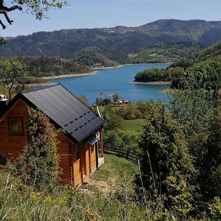 Villa Vila Bella, Tara, Zaovinsko Jezero à Zaovine Extérieur photo