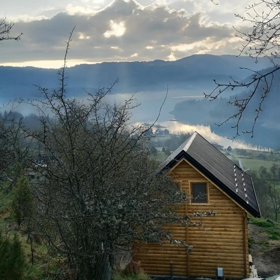 Villa Vila Bella, Tara, Zaovinsko Jezero à Zaovine Extérieur photo