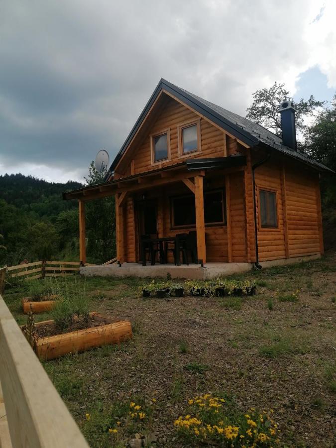 Villa Vila Bella, Tara, Zaovinsko Jezero à Zaovine Extérieur photo