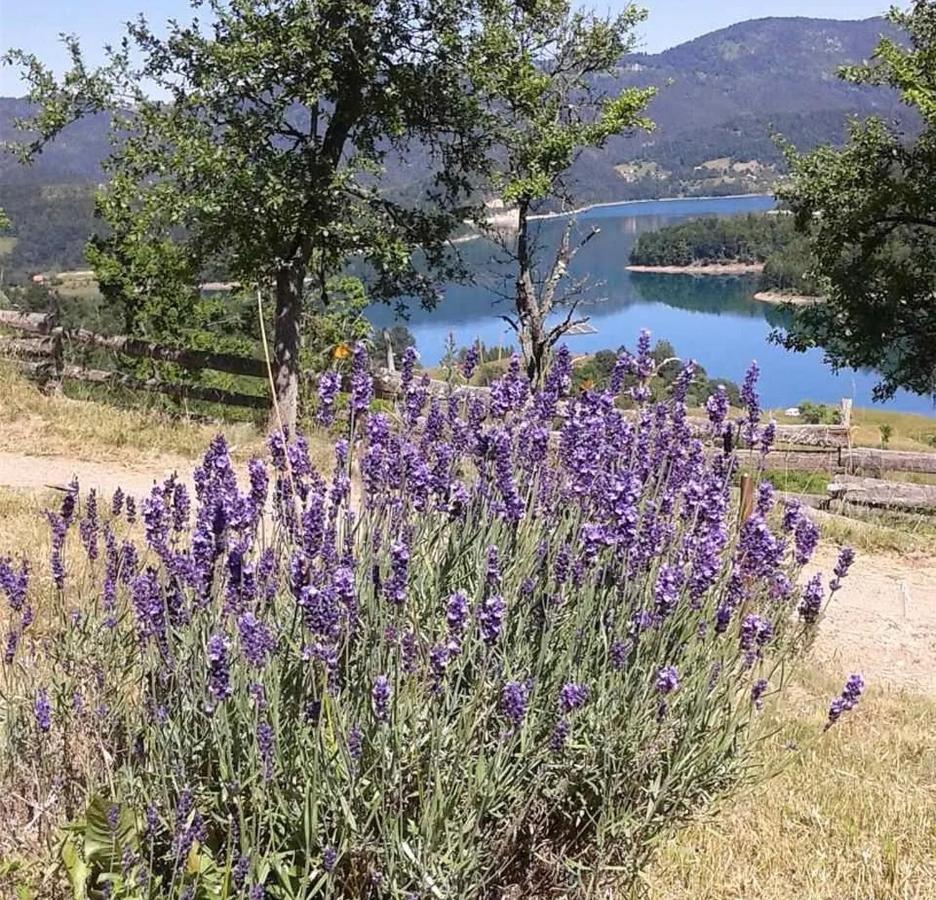 Villa Vila Bella, Tara, Zaovinsko Jezero à Zaovine Extérieur photo