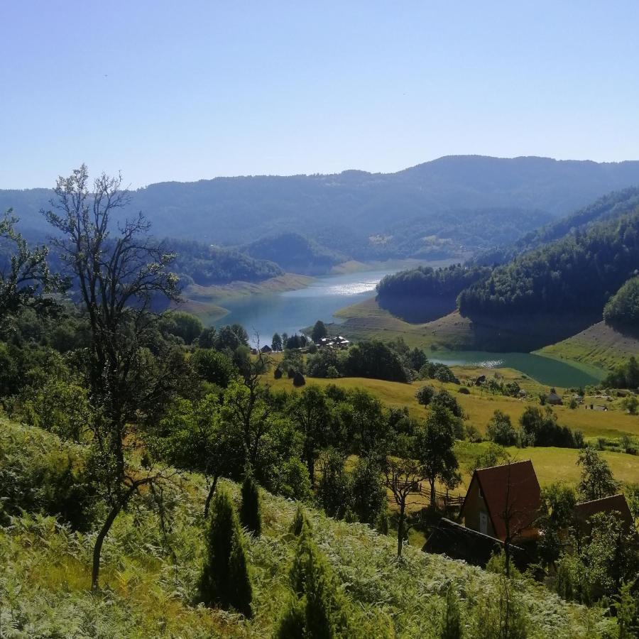 Villa Vila Bella, Tara, Zaovinsko Jezero à Zaovine Extérieur photo