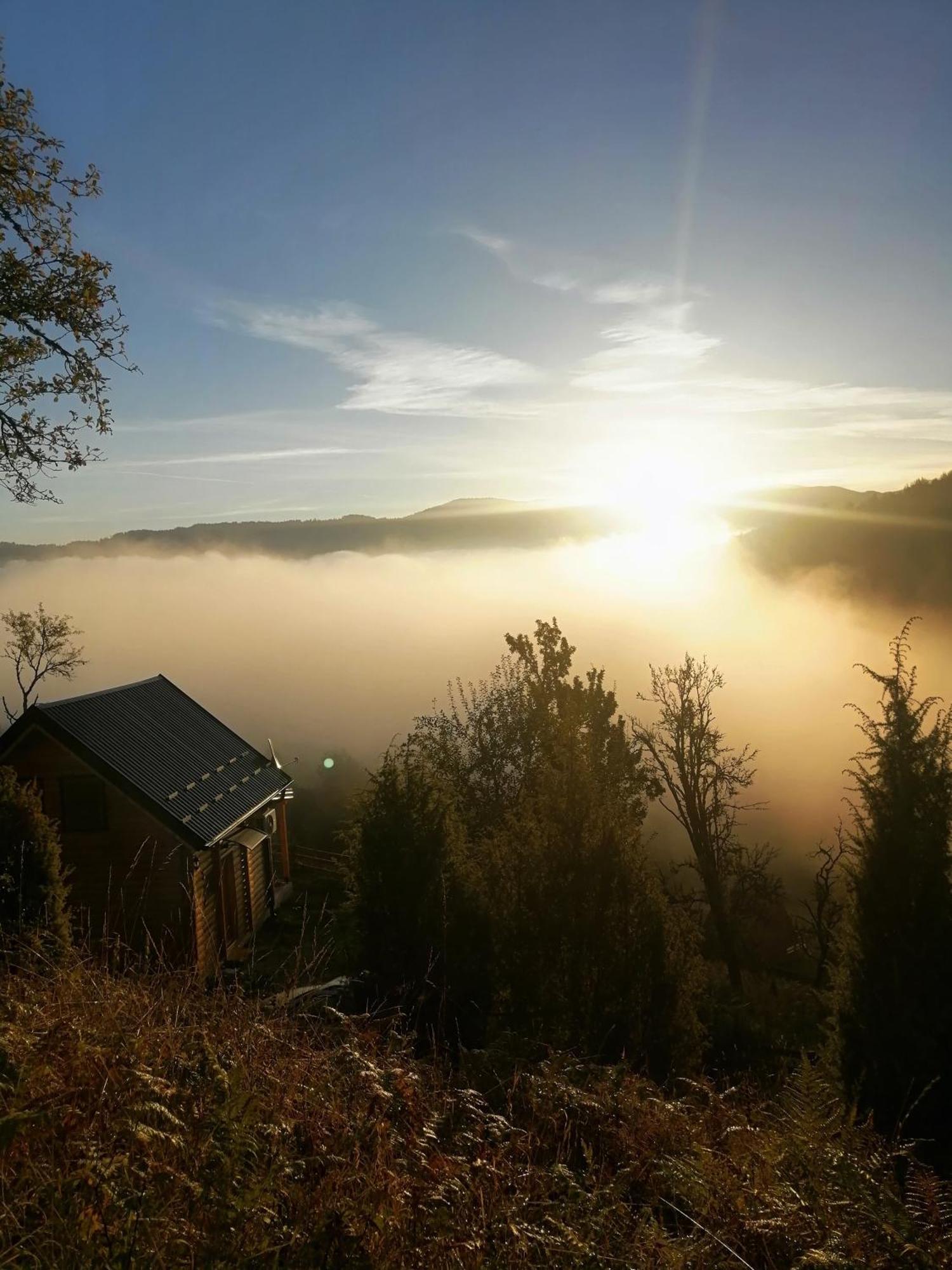 Villa Vila Bella, Tara, Zaovinsko Jezero à Zaovine Extérieur photo